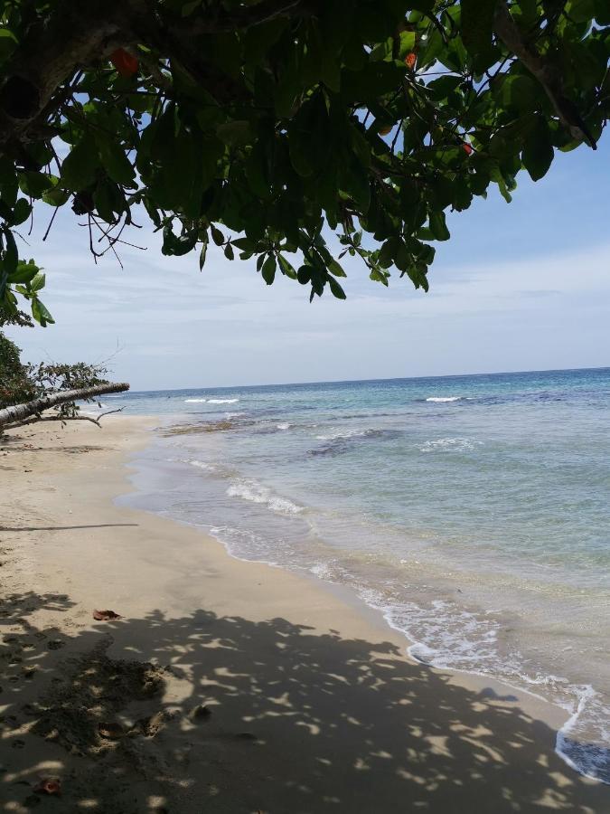 Hostal Cecilia Puerto Viejo de Talamanca ภายนอก รูปภาพ