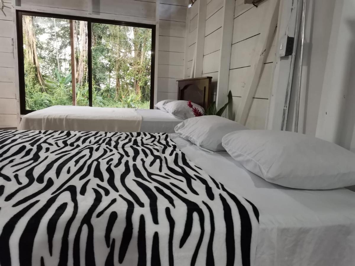 Hostal Cecilia Puerto Viejo de Talamanca ภายนอก รูปภาพ