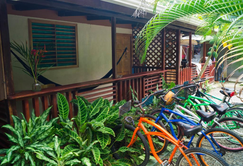 Hostal Cecilia Puerto Viejo de Talamanca ภายนอก รูปภาพ