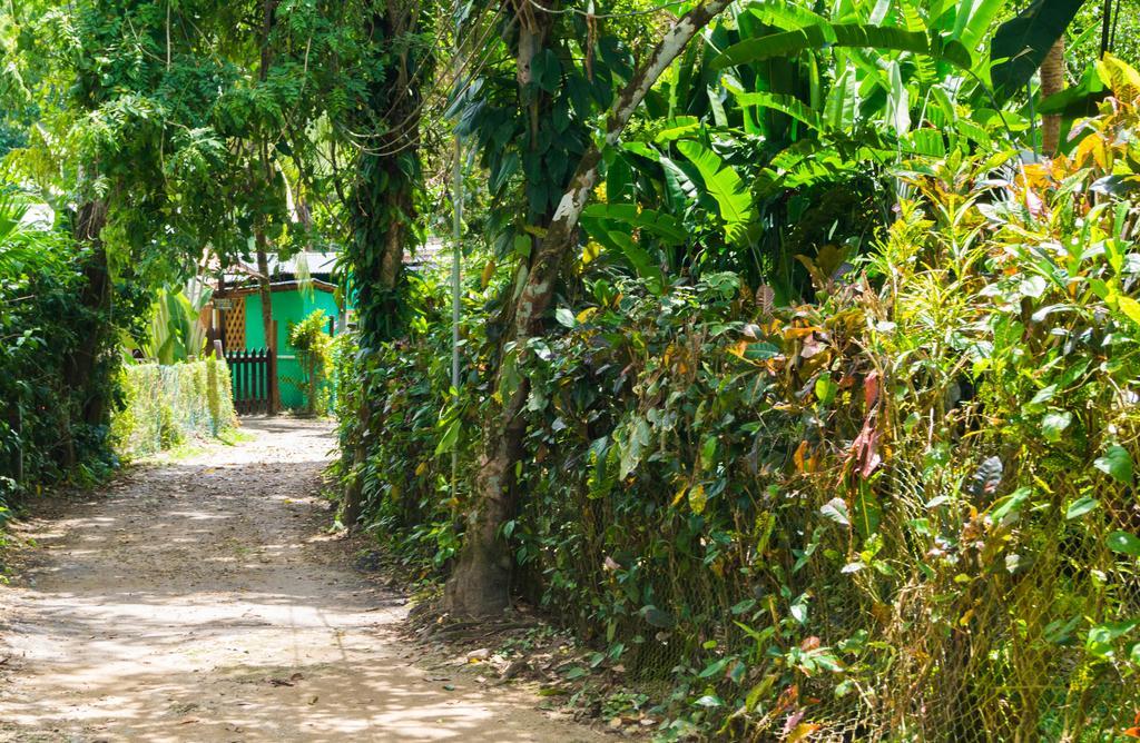 Hostal Cecilia Puerto Viejo de Talamanca ภายนอก รูปภาพ