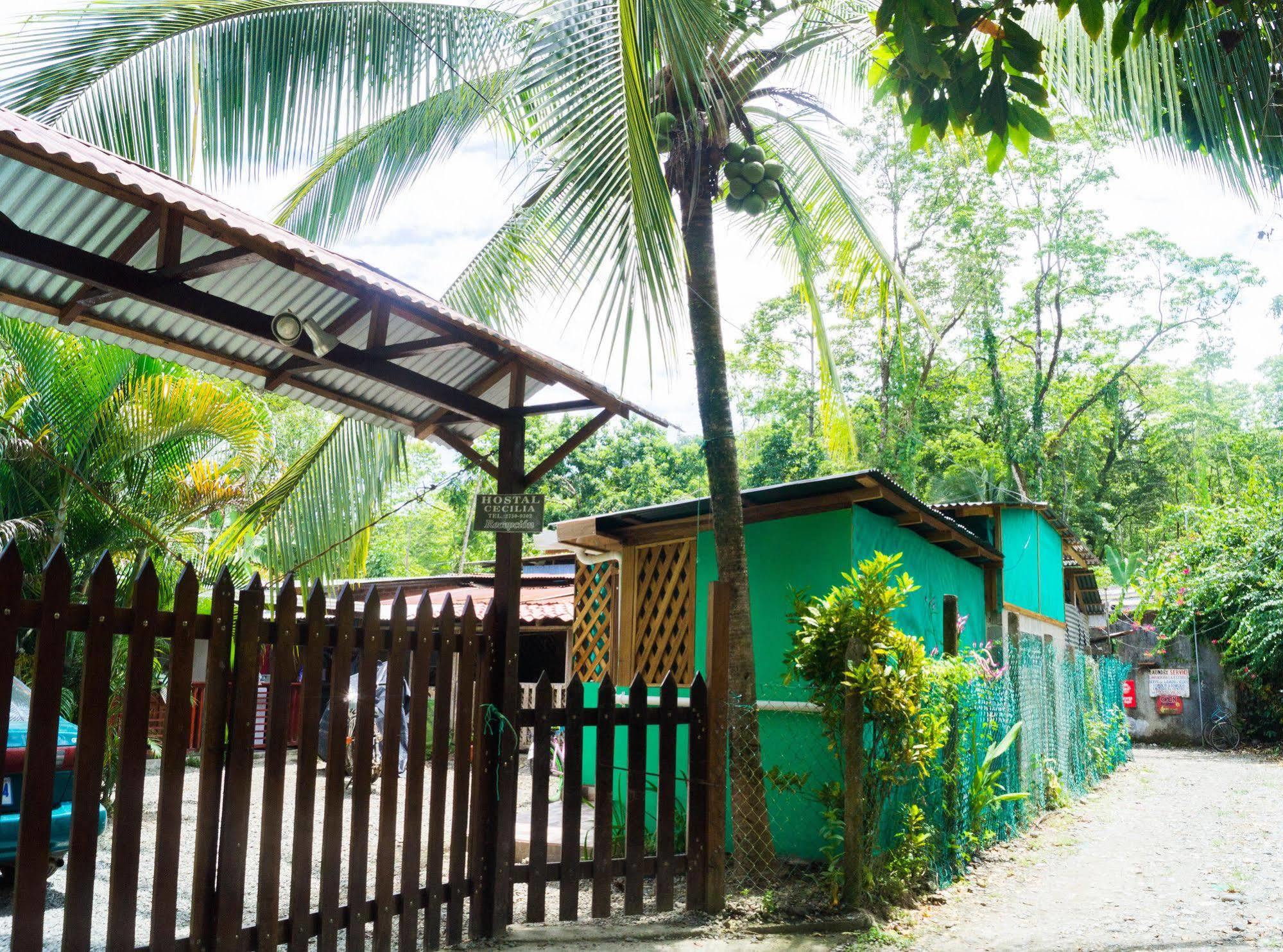 Hostal Cecilia Puerto Viejo de Talamanca ภายนอก รูปภาพ