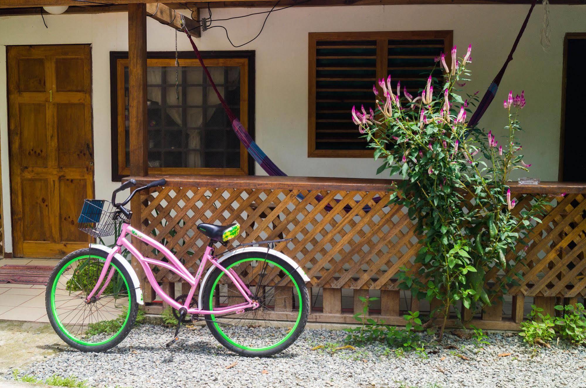 Hostal Cecilia Puerto Viejo de Talamanca ภายนอก รูปภาพ