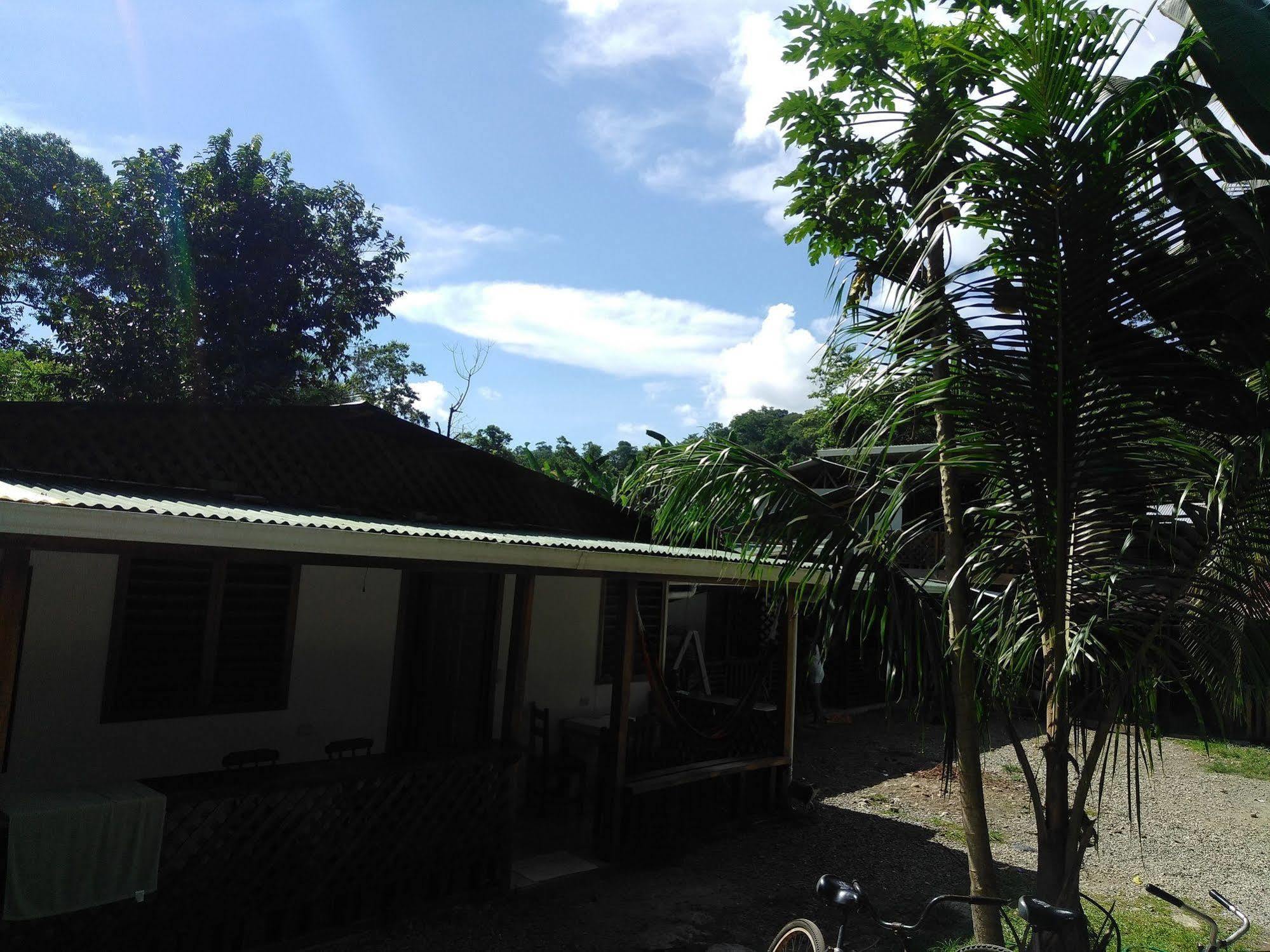 Hostal Cecilia Puerto Viejo de Talamanca ภายนอก รูปภาพ