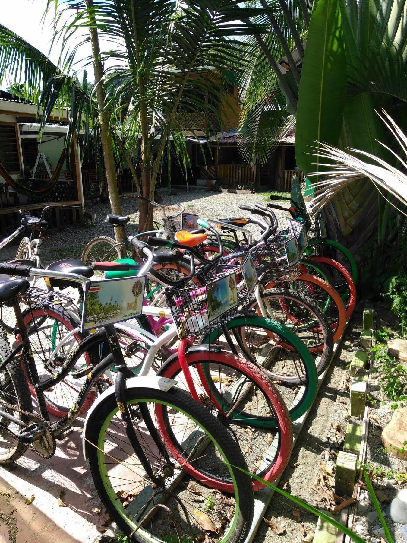 Hostal Cecilia Puerto Viejo de Talamanca ภายนอก รูปภาพ