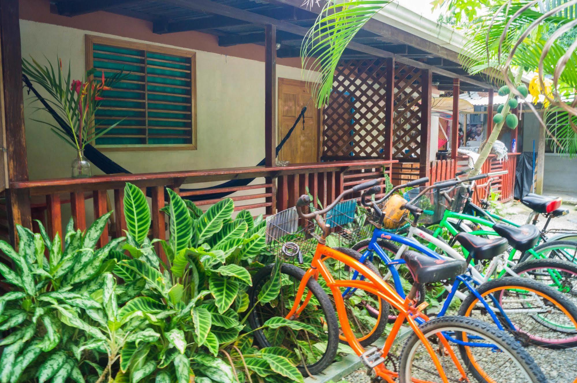 Hostal Cecilia Puerto Viejo de Talamanca ภายนอก รูปภาพ