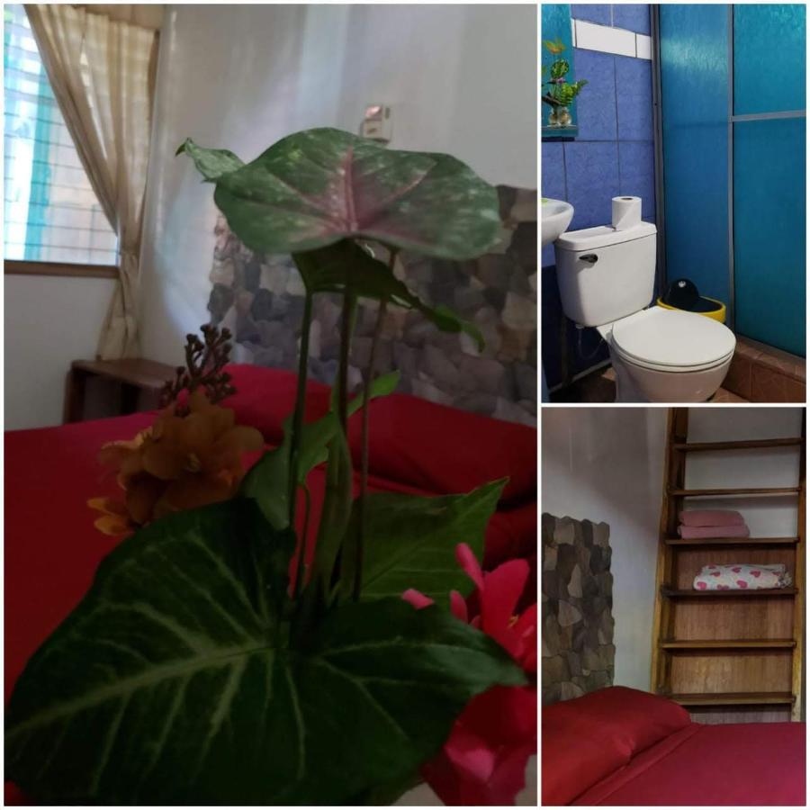 Hostal Cecilia Puerto Viejo de Talamanca ภายนอก รูปภาพ